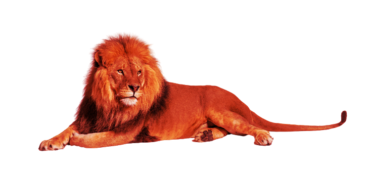 Infinigate & WatchGuard | RED houd je kennis op peil